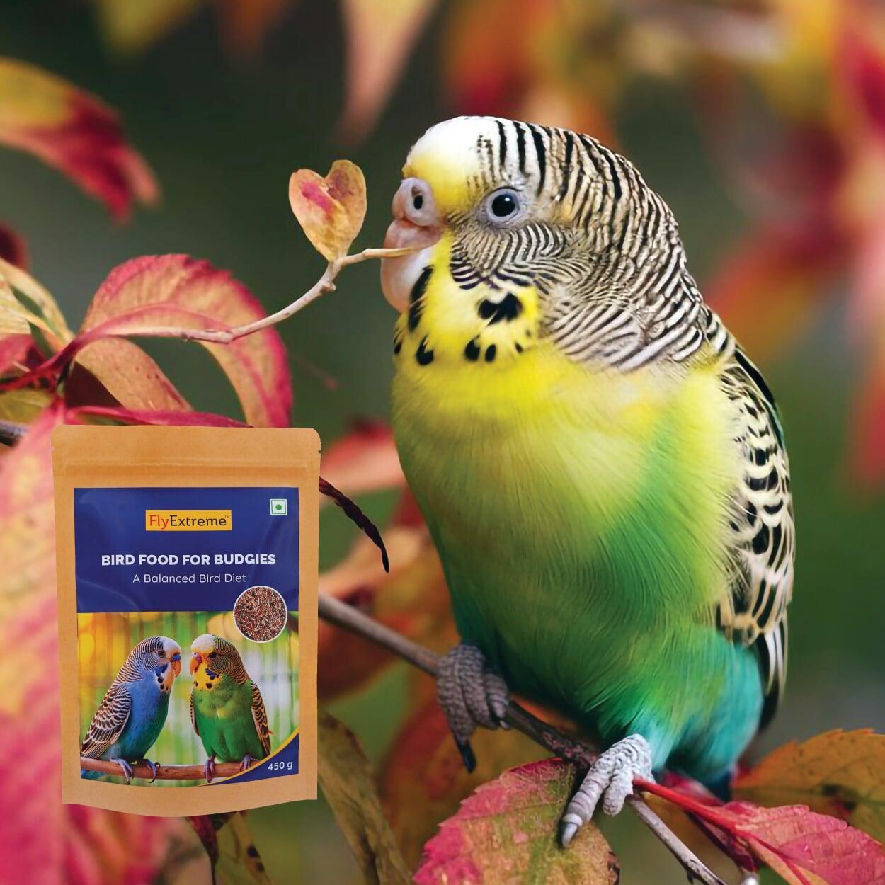 Why FlyExtreme Bird Food is the Best Choice for Your Feathered Friends